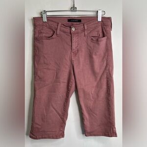 Flying Monkey Pink/Mauve Bermuda Shorts